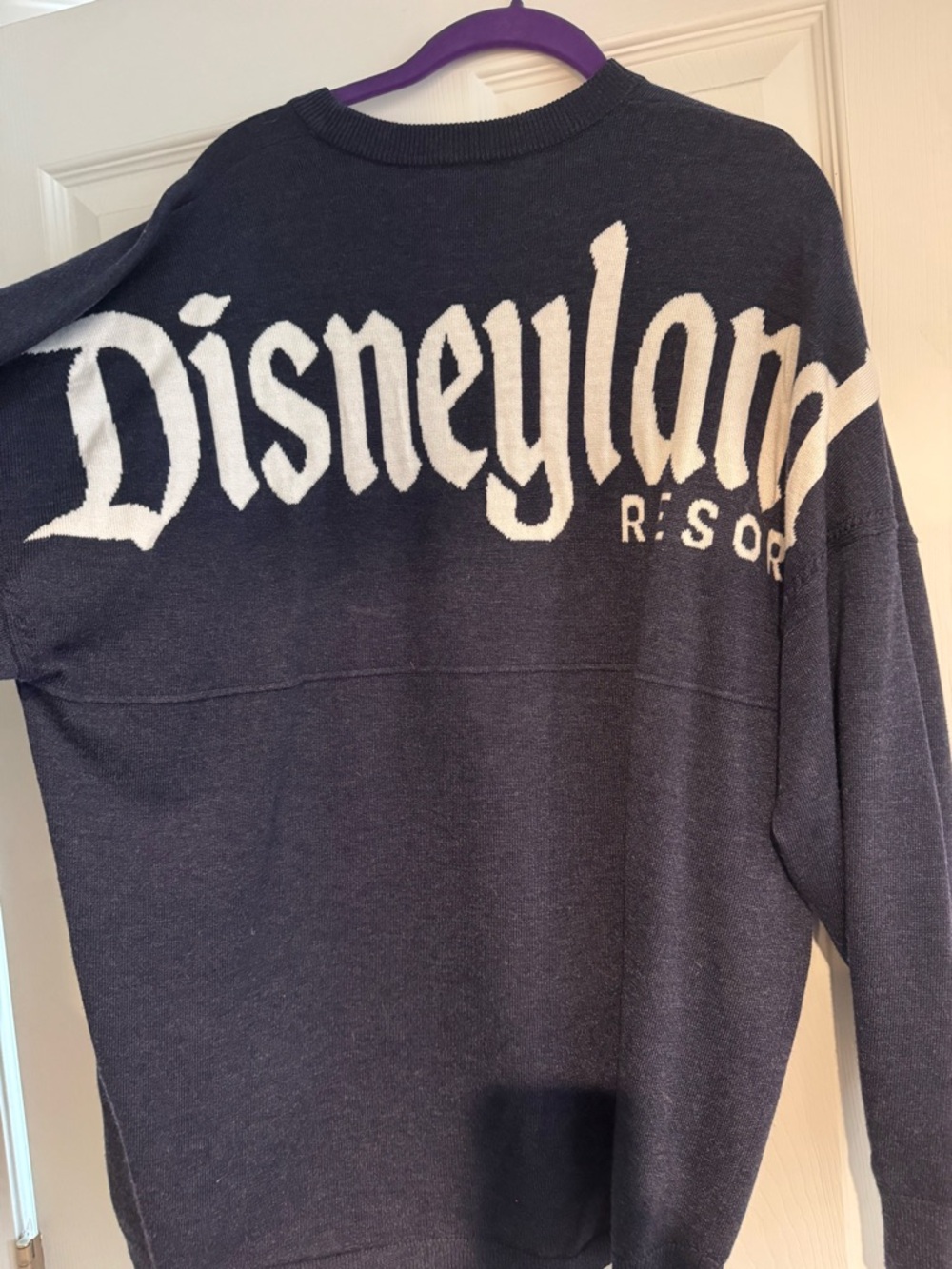 Disney Navy and White Disneyland Resort Crewneck Sweater Spirit Jersey